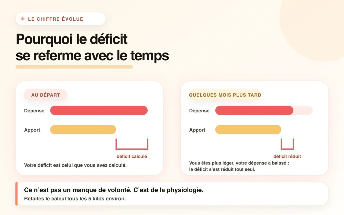 Schéma comparant « Au départ » et « Quelques mois plus tard » : l’écart entre la dépense et l’apport se réduit lorsque la dépense baisse. Ce n’est pas un manque de volonté, c’est de la physiologie ; le calcul est à refaire tous les 5 kilos environ.