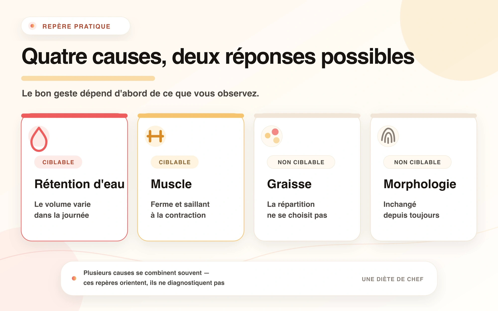 Infographie « Quatre causes, deux réponses possibles ». Rétention d'eau : ciblable, le volume varie dans la journée. Muscle : ciblable, ferme et saillant à la contraction. Graisse : non ciblable, la répartition ne se choisit pas. Morphologie : non ciblable, inchangé depuis toujours. Mention : « Plusieurs causes se combinent souvent — ces repères orientent, ils ne diagnostiquent pas ».
